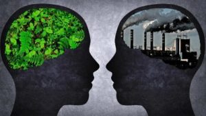 Влияние окружающей среды на здоровье мозга