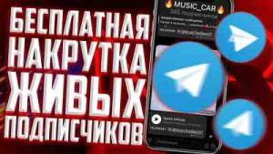 Накрутка Telegram-канала: как сбалансировать бесплатных и платных подписчиков